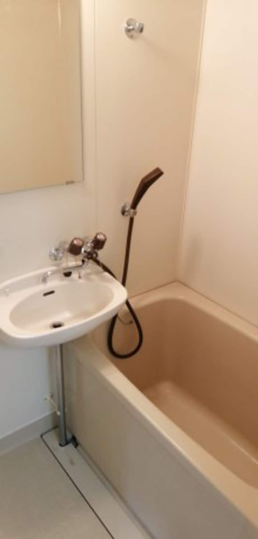 2020年1月撮影※現況を優先します。 ホワイトルージュ