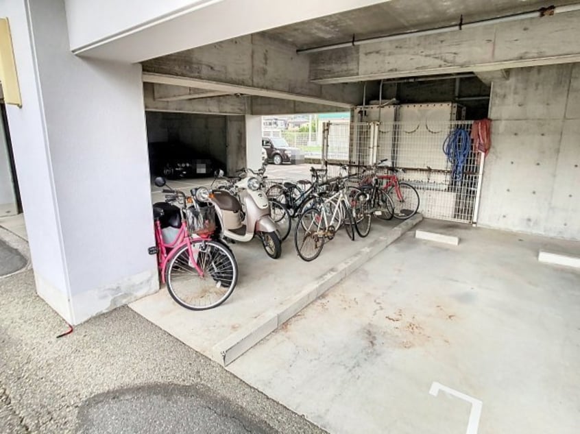 2024年10月撮影 Blanc D'or