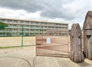 高知市立旭小学校(小学校)まで1174m ＴＩＡＲＡ　Ⅱ