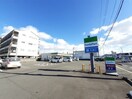 ファミリーマート 高須新町店(コンビニ)まで307m 小松マンション(高須新町2-11-5)