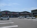 よどやドラッグ高知土佐道路店(ドラッグストア)まで337m ハイツ三本