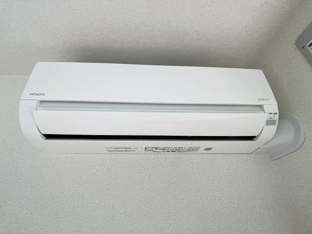 2024年7月撮影 宮ノ丸トウロデン・１