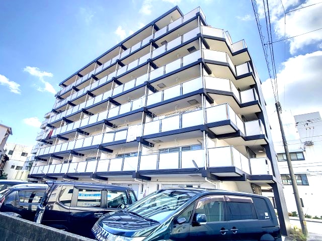 2022年9月撮影 アステール・K