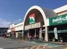 ナンコクスーパー 高須店(スーパー)まで446m ガーデンタワー