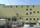 高須幼稚園(幼稚園/保育園)まで346m ハイツフジオ