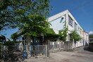 幼保連携型認定こども園みかづき幼稚園(幼稚園/保育園)まで144m ダイヤモンドハイツみかづき