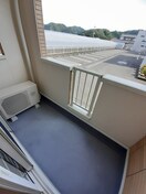  ゴールデン・リリィＣ