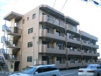 マリベールライツ