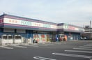 よどやドラッグ高知塩屋崎店(ドラッグストア)まで527m メゾンドール宮地 Ⅱ