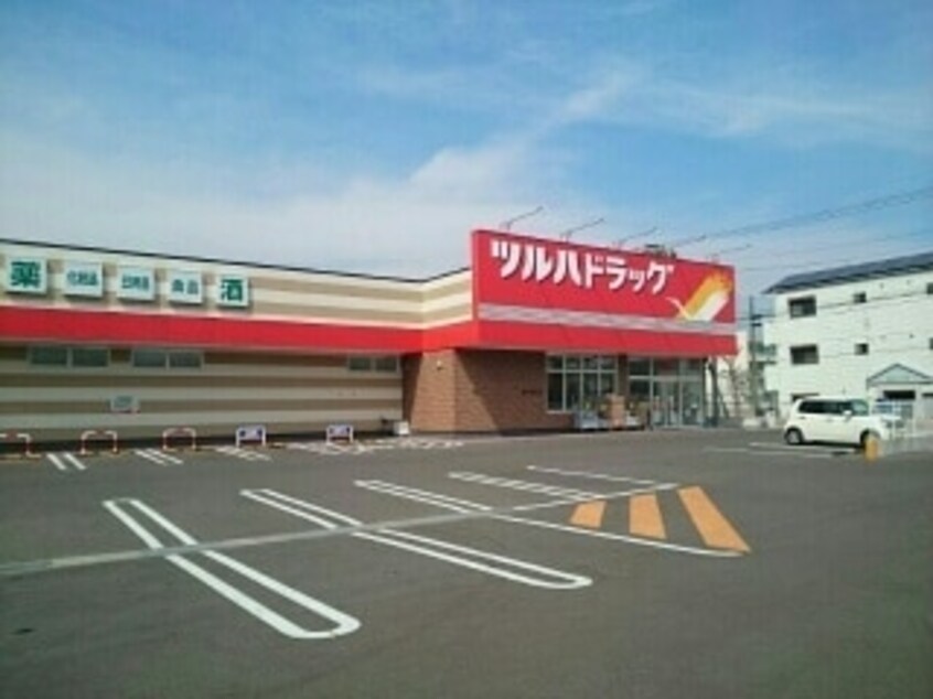 ツルハドラッグ 高知長浜店(ドラッグストア)まで729m ロイヤルハイツ