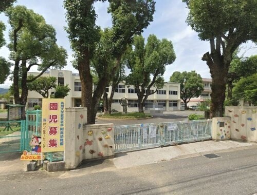 高知大学教育学部附属幼稚園(幼稚園/保育園)まで823m 土讃線/入明駅 徒歩1分 1階 築52年