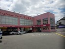 ディスカウントドラッグ コスモス 薊野店(ドラッグストア)まで393m ソレイユa