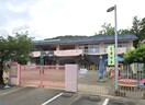 朝倉木の丸保育園(幼稚園/保育園)まで187m 木の丸グリーンハイツ