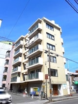 COPO HARIMAYA