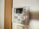 2023年5月撮影 ルガーノ Ⅲ