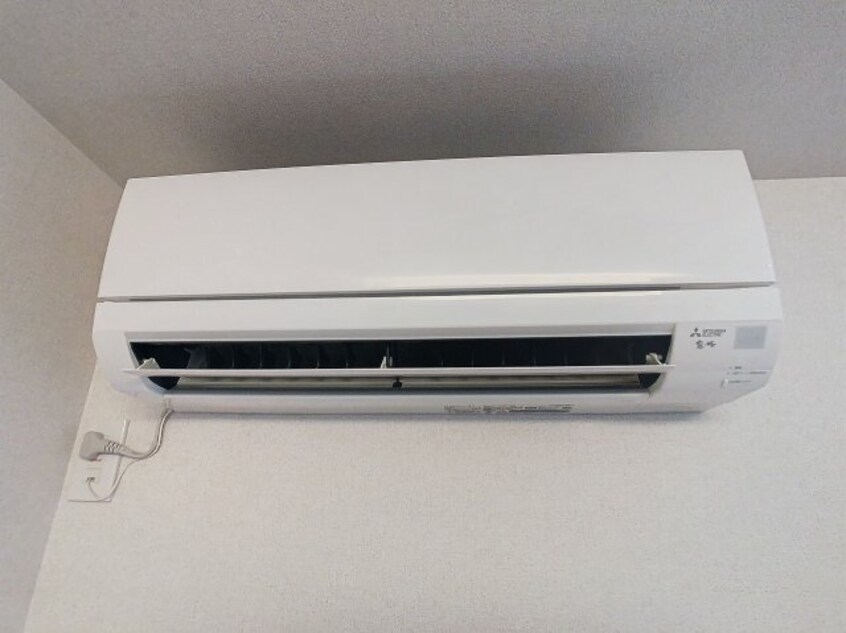 2024年12月撮影 ファルコ鷹匠