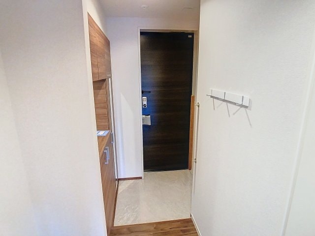 2024年12月撮影 ファルコ鷹匠