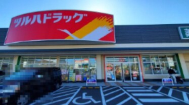 ツルハドラッグ 高知西店(ドラッグストア)まで272m コンコード　Ｂ