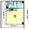 CASA DELLE MORE 1Rの間取り