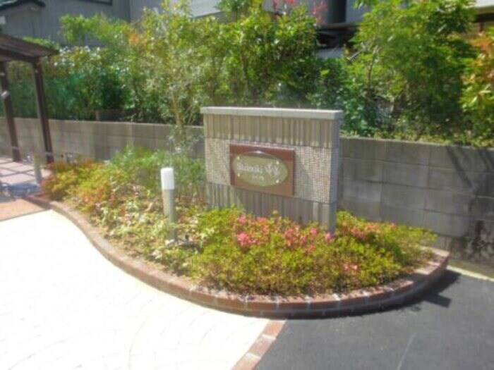  シイノキ