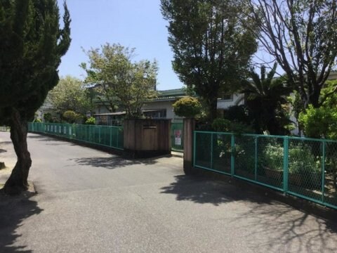 高知市大津保育園(幼稚園/保育園)まで6m シイノキ