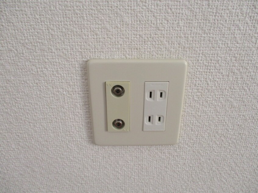 2020年6月撮影 セジュールOK A