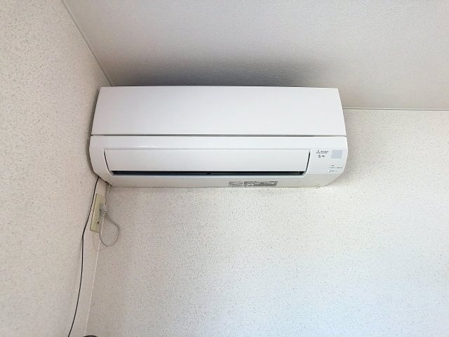 2025年11月撮影 クリン・グレーハウス