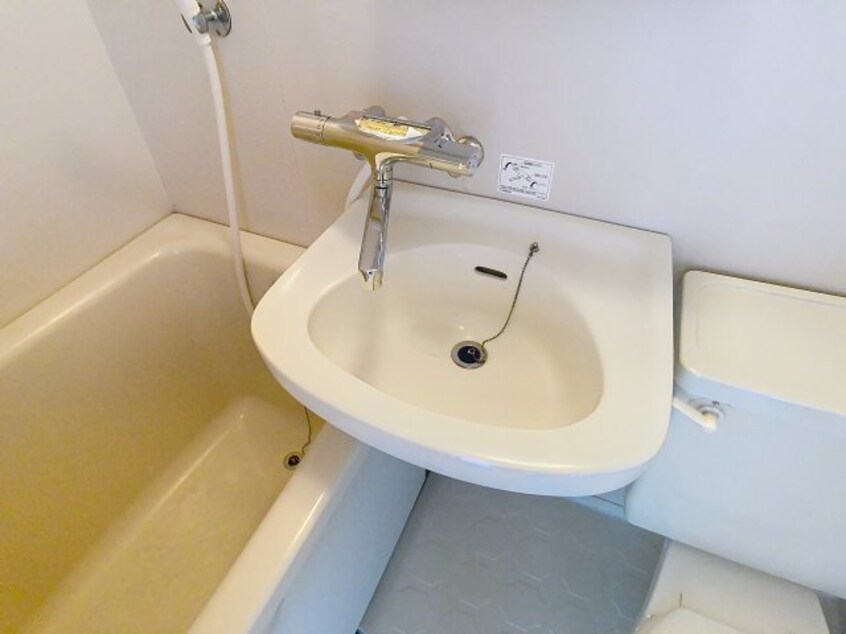 2025年10月撮影 アルボビル