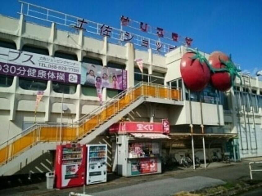 サンプラザ 土佐ショッピング店(スーパー)まで286m グリーンビュー土佐Ⅲ