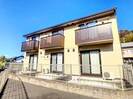 シイノキの外観