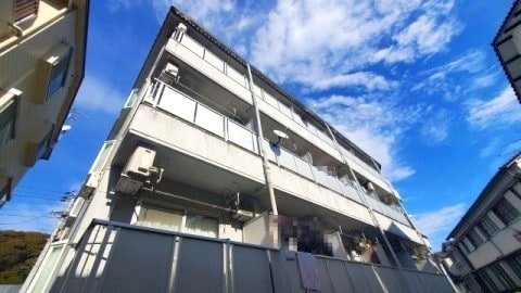 2022年1月撮影 メゾンレーヴ