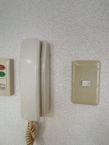 2024年4月撮影 グランデール　一本松