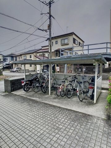 2024年4月撮影 グランデール　一本松