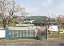 土佐市立愛聖保育園(幼稚園/保育園)まで203m コーポ　すまいるはうす