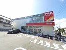 ツルハドラッグ 高知和泉店(ドラッグストア)まで1m ハイツピラカンサ