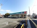 ドラッグセイムス高知宝永店(ドラッグストア)まで1103m 高知市電ごめん線・伊野線/菜園場町駅 徒歩4分 1階 築39年