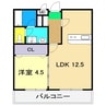 グランビュー 1LDKの間取り