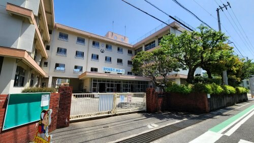 高知市立神田小学校(小学校)まで443m コーポ中岡Ⅱ