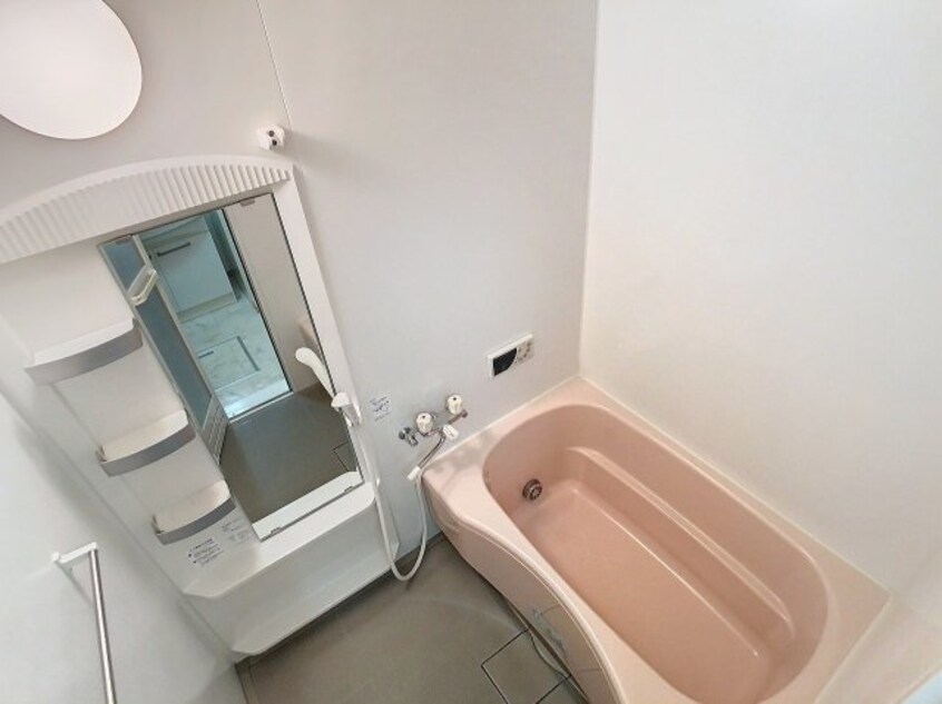 2024年6月撮影 セジュール ｵｯﾂ