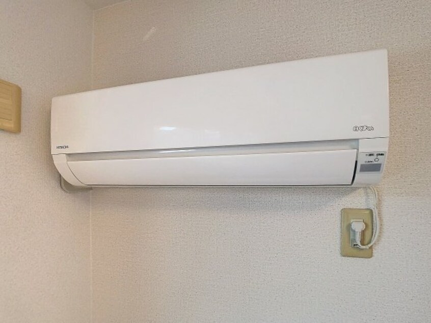 2024年6月撮影 セジュール ｵｯﾂ