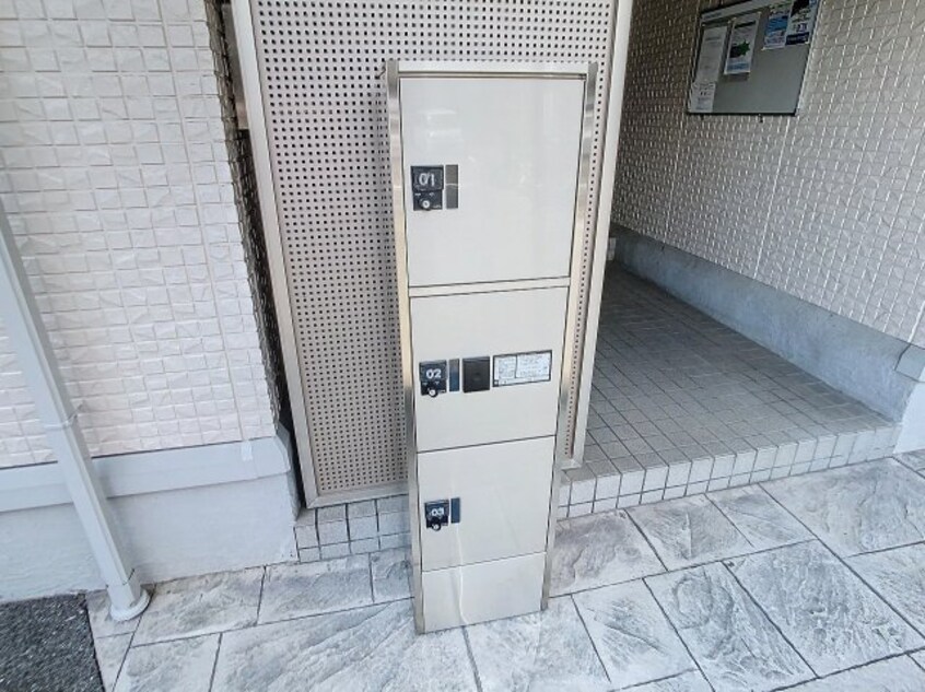 2024年6月撮影 セジュール ｵｯﾂ