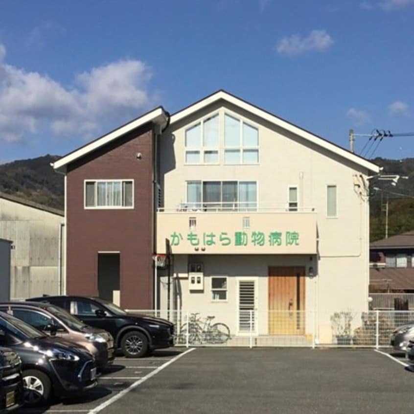 かもはら動物病院 188m 土讃線/薊野駅 徒歩1分 3階 築40年