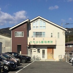 かもはら動物病院 188m