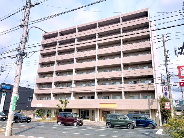 2025年10月撮影 South Heaven