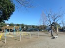 万々公園(公園)まで555m パナシェ・レーヴ