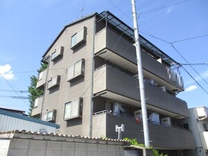 モーメントエリ