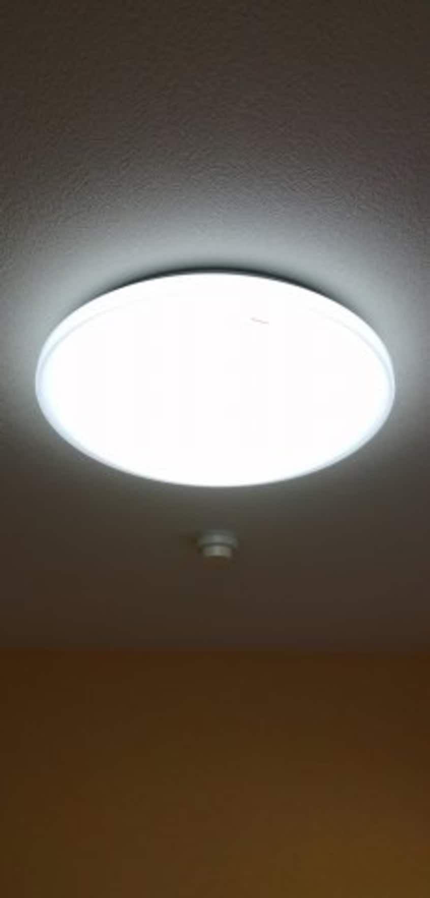 同タイプ間取り別室の写真です。（510） サニーパレス朝倉