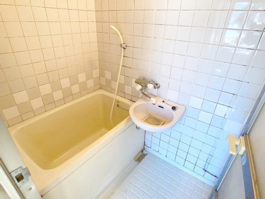 2025年11月撮影 プロミネント大膳