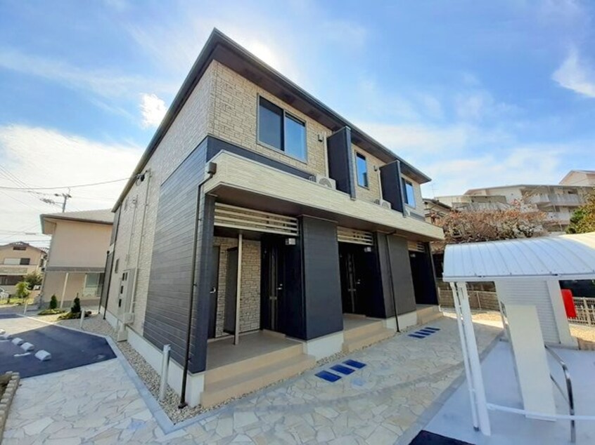  ブラウェ　フェーゲル　Ⅱ