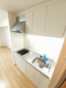  ブラウェ　フェーゲル　Ⅱ